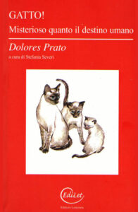 Gatto! Misterioso quanto il destino umano